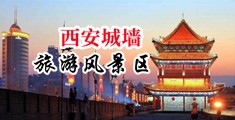 黄色，抠逼漫画，免费中国陕西-西安城墙旅游风景区